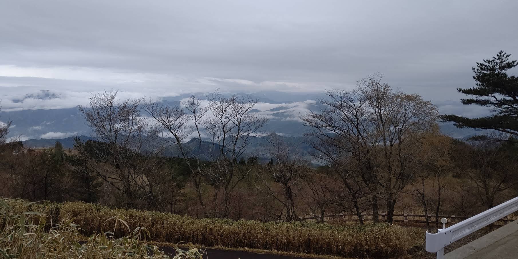 高千穂の雲海はきれいです。
